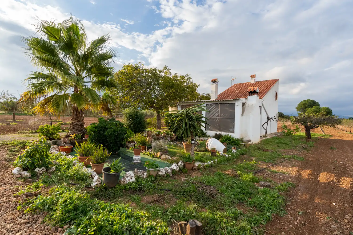 Terreno rustico in vendita a Carretera del Cementiri 9, imagen 5