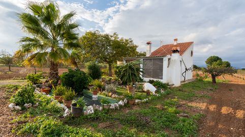 Finca rústica con casa de campo y almacén. Luz eléctrica. Agua de pozo comunitario., imatge 5