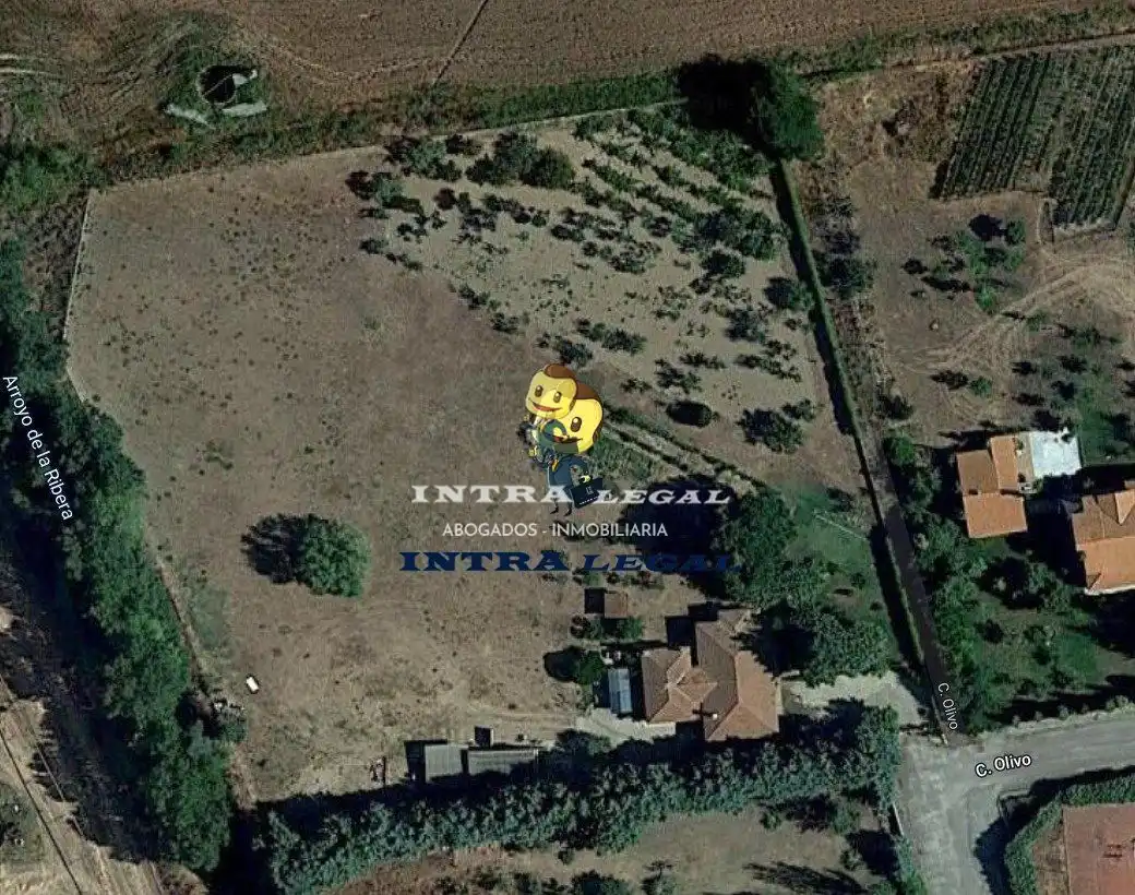 Terreno rustico in vendita a Argentina, imagen 2