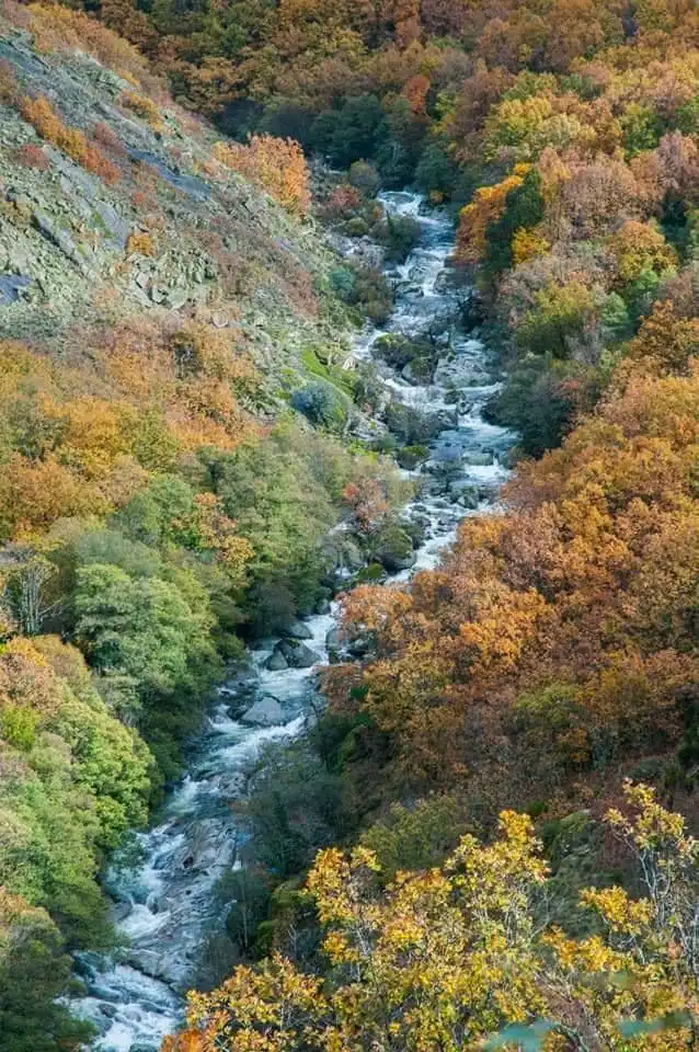 Vista exterior de Casa o xalet en venda en Navaconcejo amb Aire condicionat i Terrassa