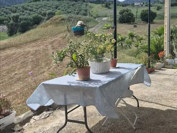 Terrasse von Grundstücke zur Miete in Málaga