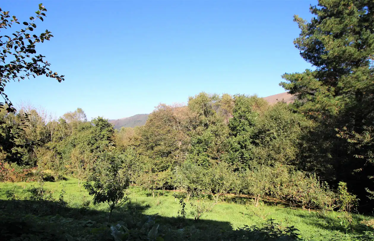 Casa o chalet en venta en A Pontenova   con Jardín privado