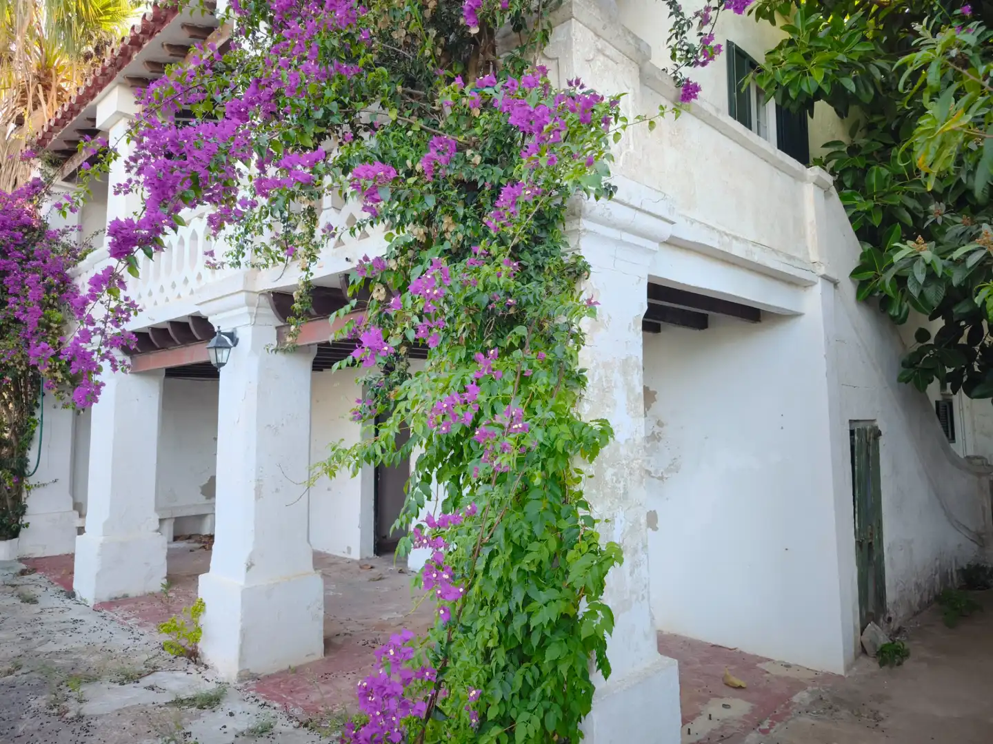 Vista exterior de Finca rústica en venda en Sant Lluís amb Jardí privat, Traster i Balcó