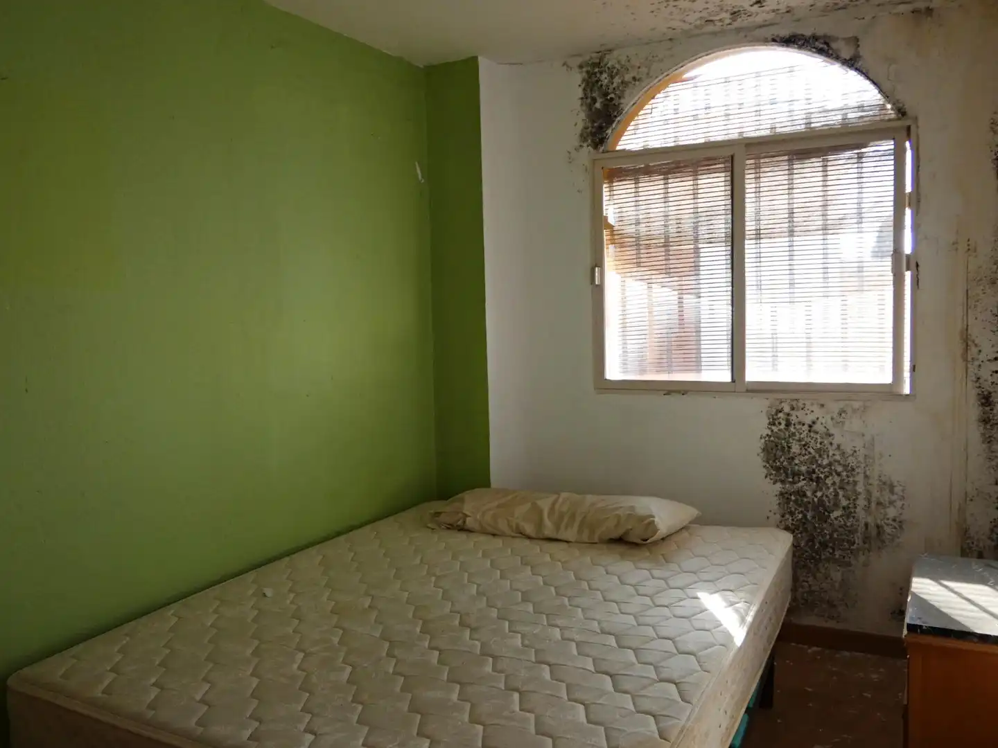 Inmuebles singulares en venta en DEL SEÑOR, imagen 14