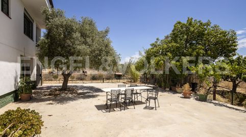 Acogedora Masía con 40.000m2 de terreno a tan solo 1.5Km de la playa., imatge 3