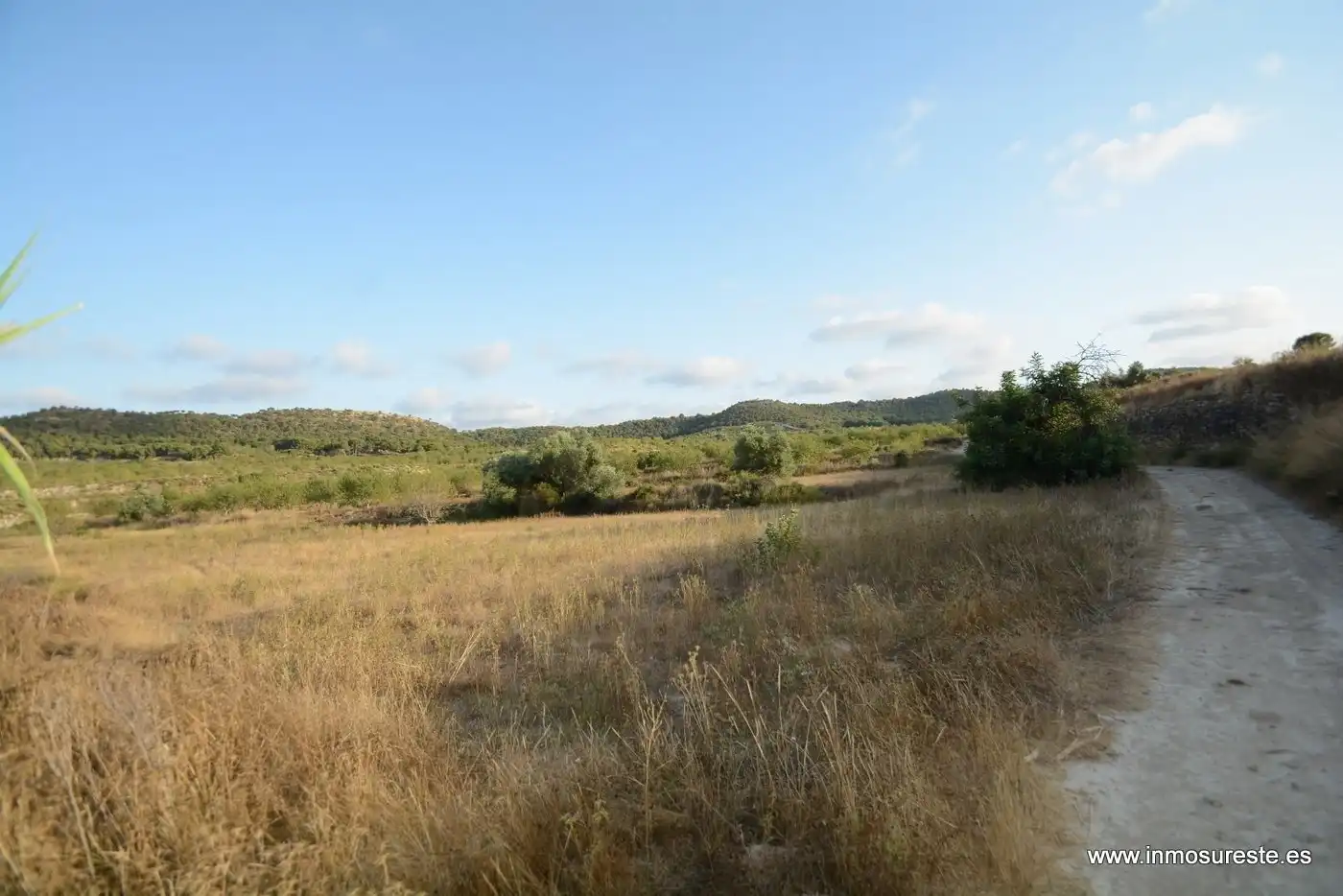 Terreno rústico en venta en Desamparados - Hurchillo - Torremendo, imagen 3