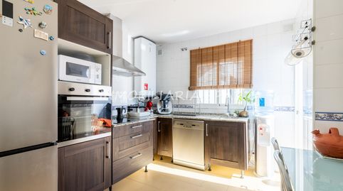 Photo 2 of Detached homes for sale in Benacazón, Sevilla