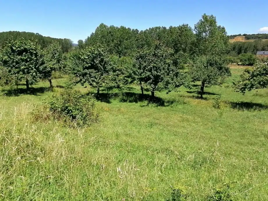 Terreni e lotti in vendita a Manuel Merayo Álvarez 22, imagen 2