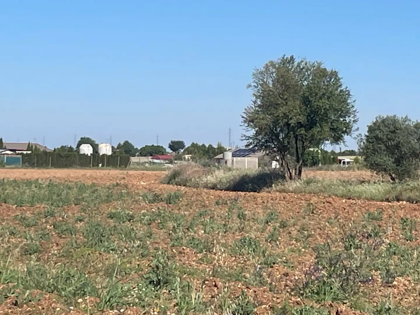 Land for sale in Ocaña