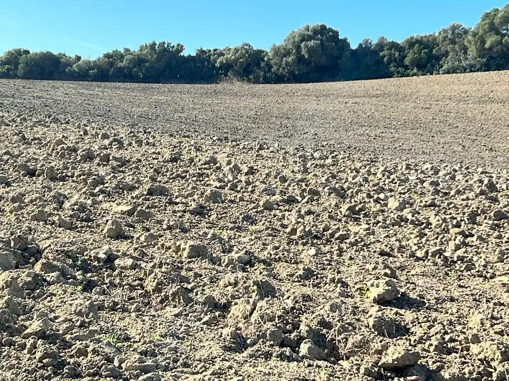 Casa rústica en venda a Vejer, imagen 9