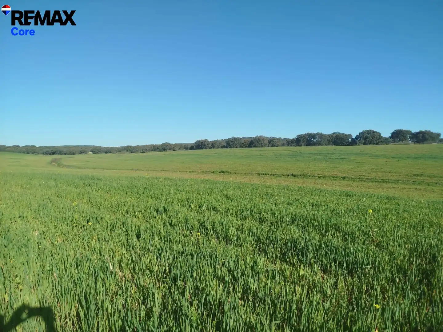 Land for sale in Mérida