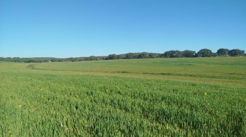 Foto 5 von Grundstücke zum Verkauf in Este, Mérida