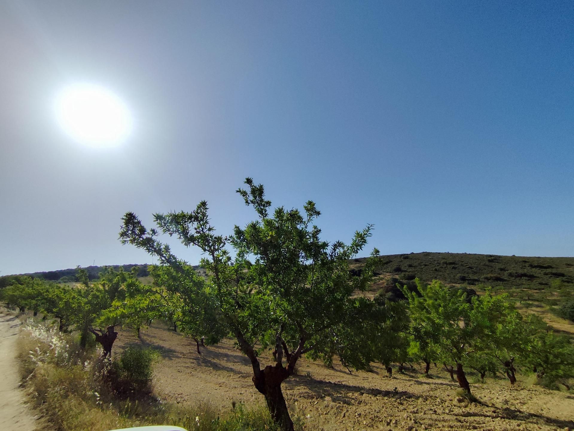 Exterior view of Land for sale in Arenas del Rey