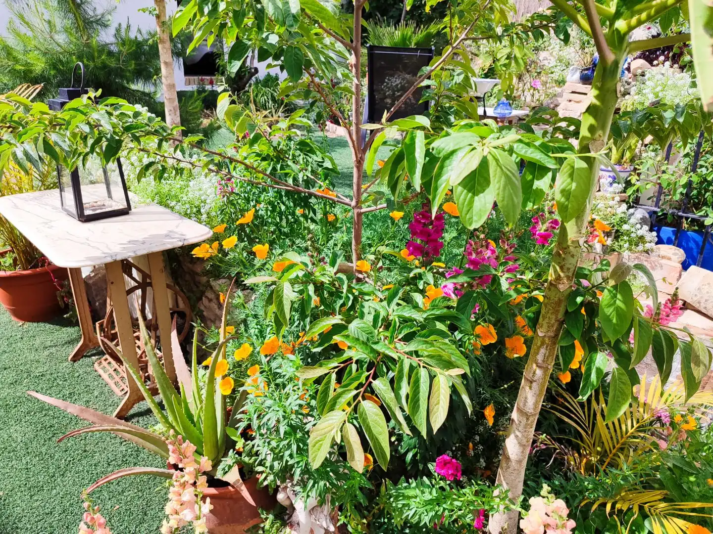 Jardí de Casa o xalet en venda en Jerez de la Frontera amb Aire condicionat, Calefacció i Jardí privat