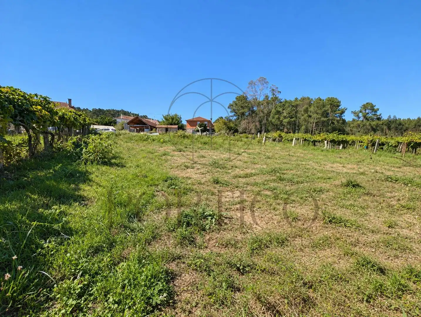 Residential land for sale in Salceda de Caselas, imagen 2