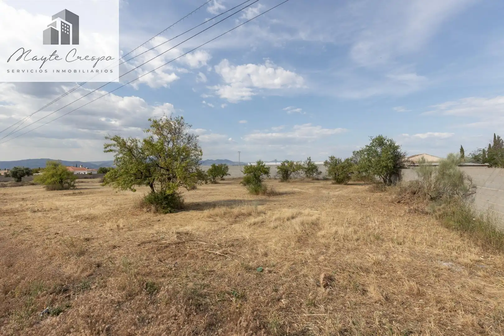 Rural land for sale in Moraleda de Zafayona, imagen 9