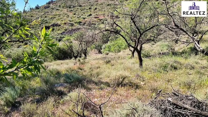 Rural land for sale in Felix, imagen 6