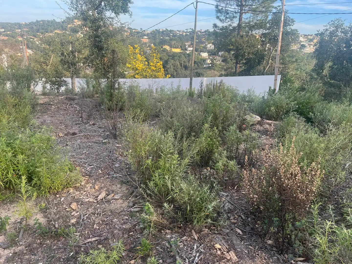 Terreno residencial en venta en Lloret Blau - La Creu de Lloret, imagen 3