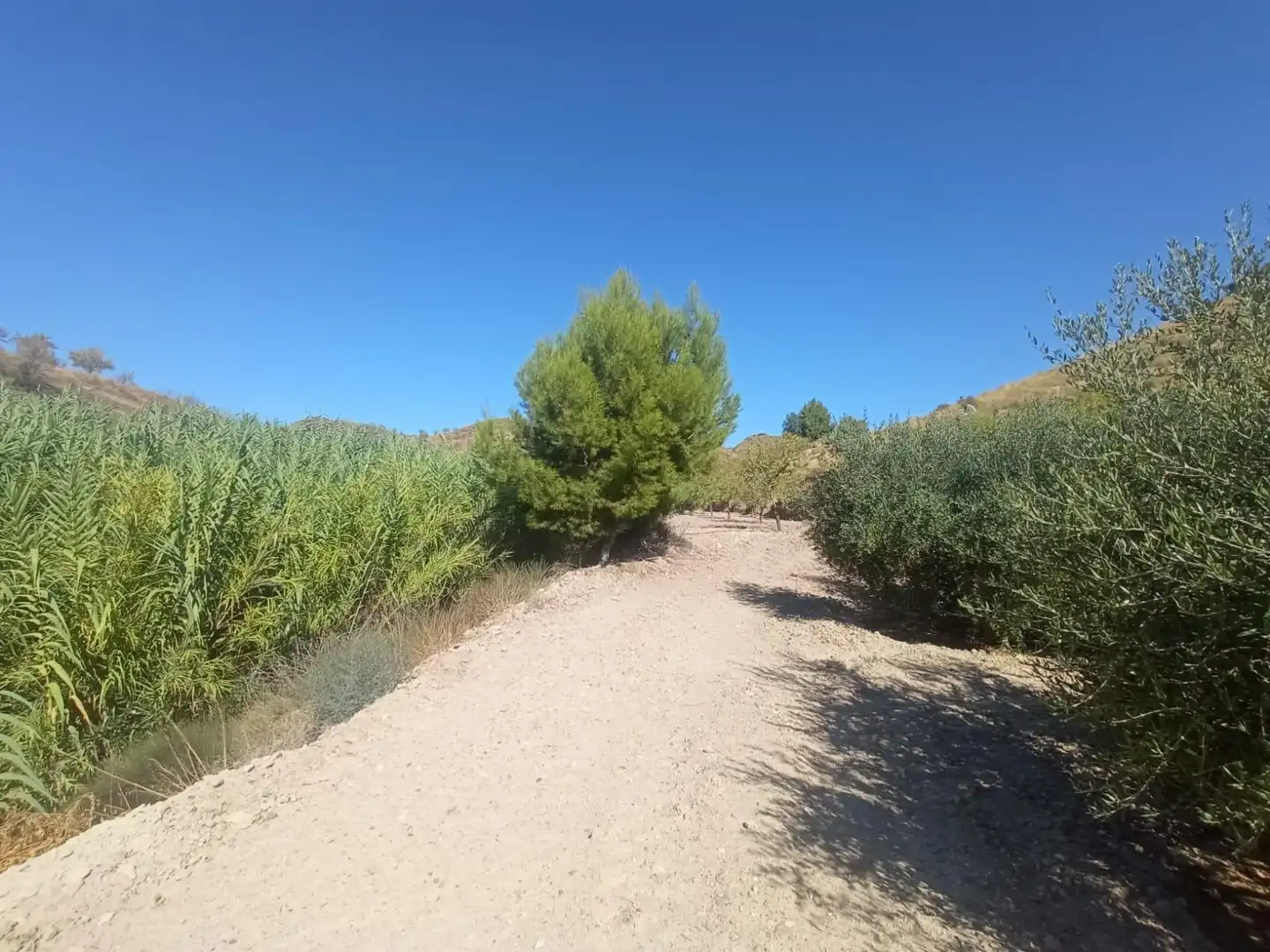 Terrains et parcelles à vendre à Pedanías Norte, imagen 13