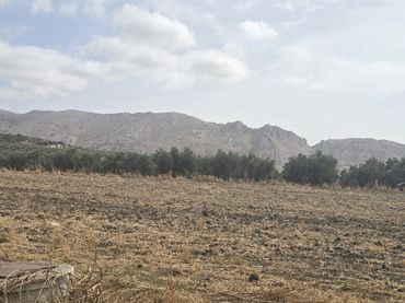 Terreno rustico in vendita a Poleares