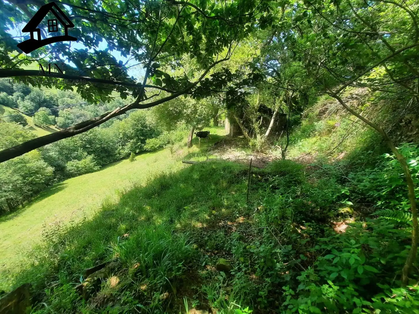 Country homes for sale in Selaya