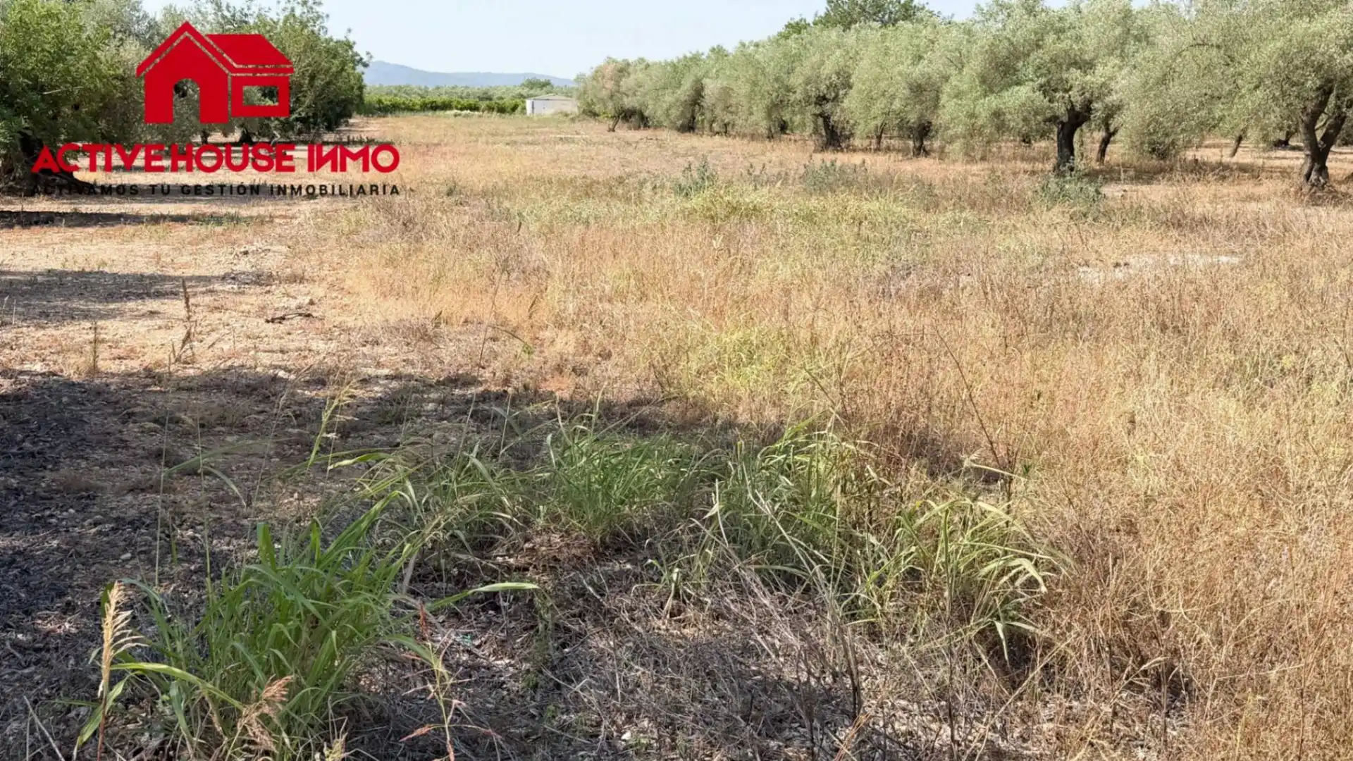 Rustikales Grundstück zum Verkauf in Cami del Romere, imagen 7