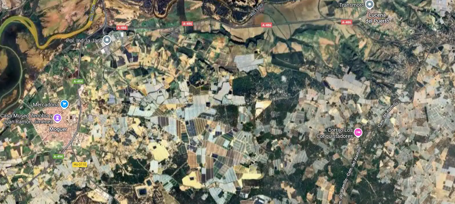 Terreni e lotti in vendita a Moguer