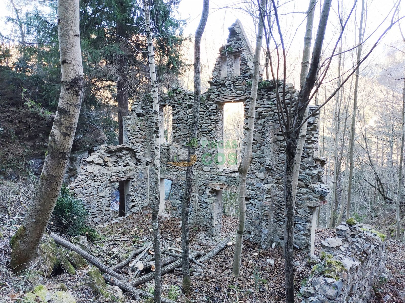 Vista exterior de Casa o xalet en venda en Queralbs amb Jardí privat