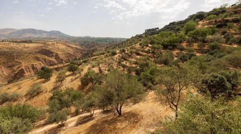 Foto 5 de Casa o xalet en venda a Callejón de Aynadamar, 16, Haza Grande,  Granada Capital