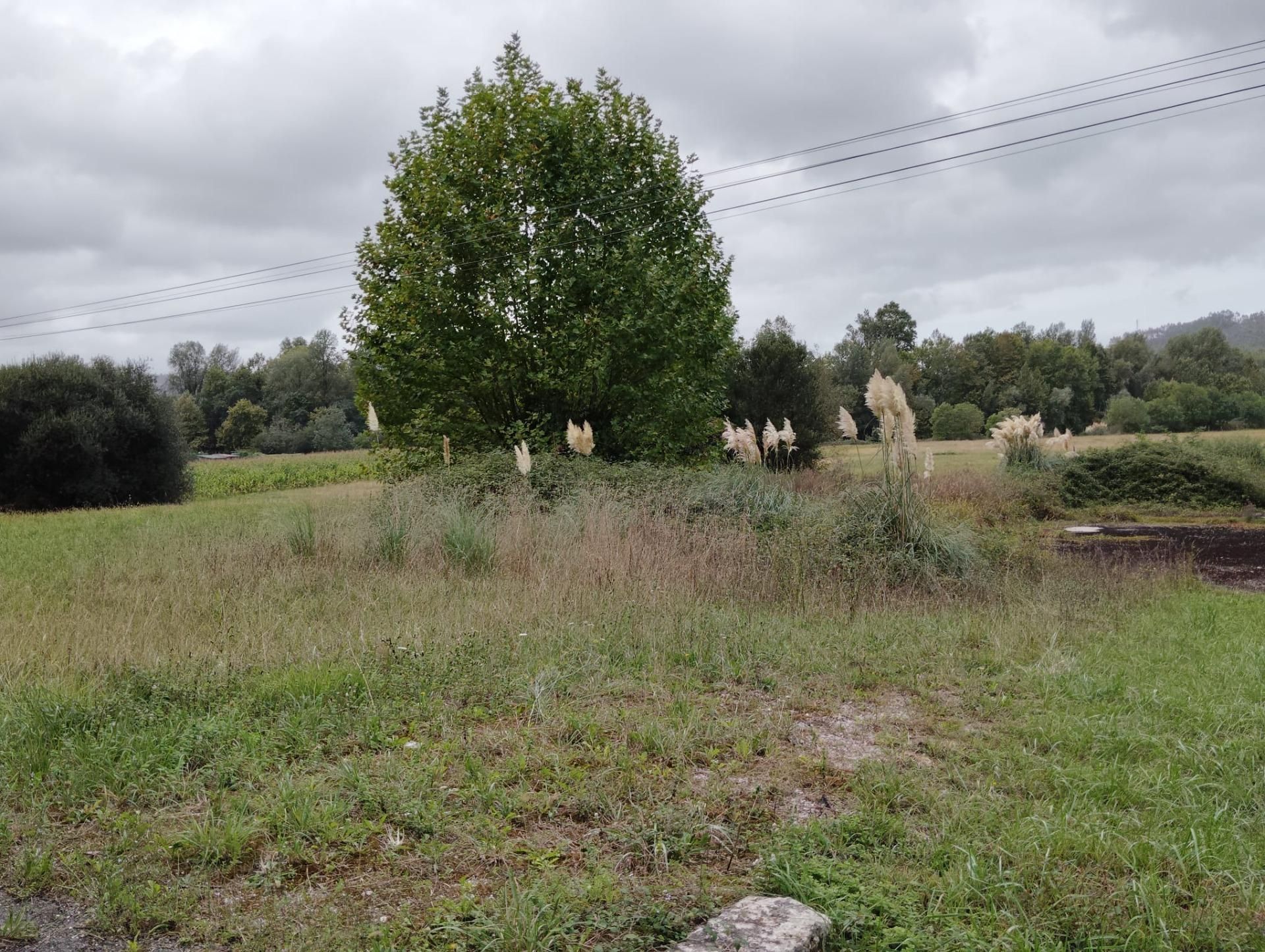 Residencial en venda en Piélagos