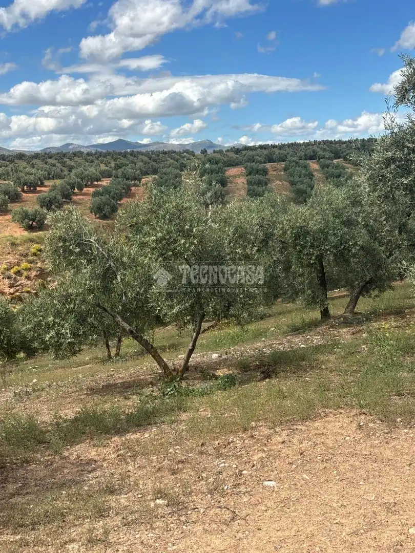 Terreno rustico in vendita a Calicasas, imagen 2