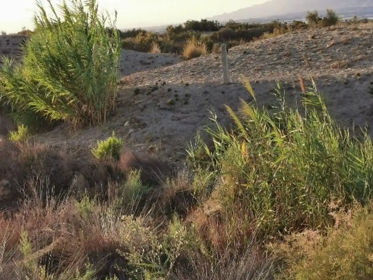Terreno rustico in vendita a Camino LOS HUERTOS, imagen 40