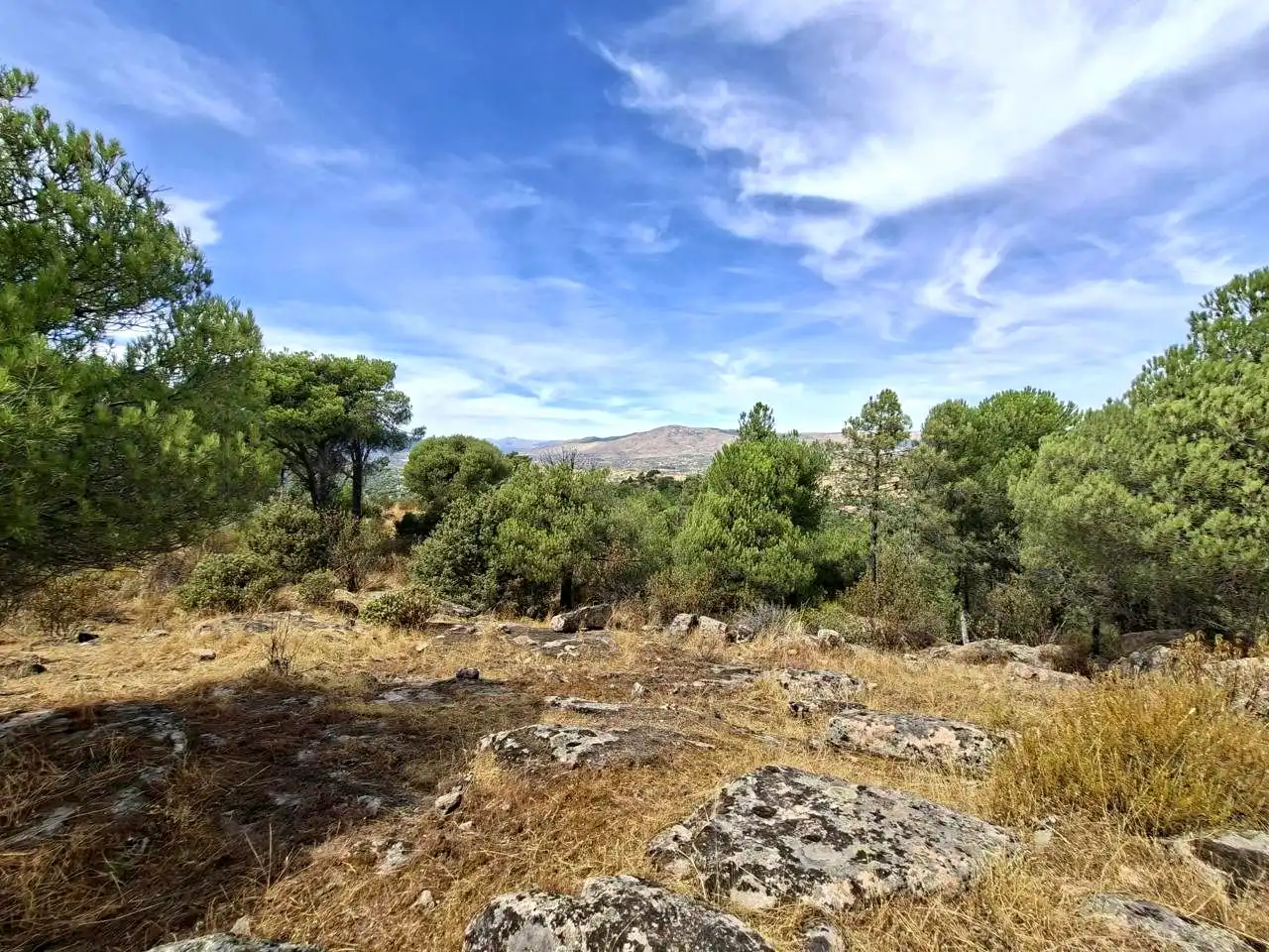 Terreny rústic en venda a Navahoncil, imagen 6