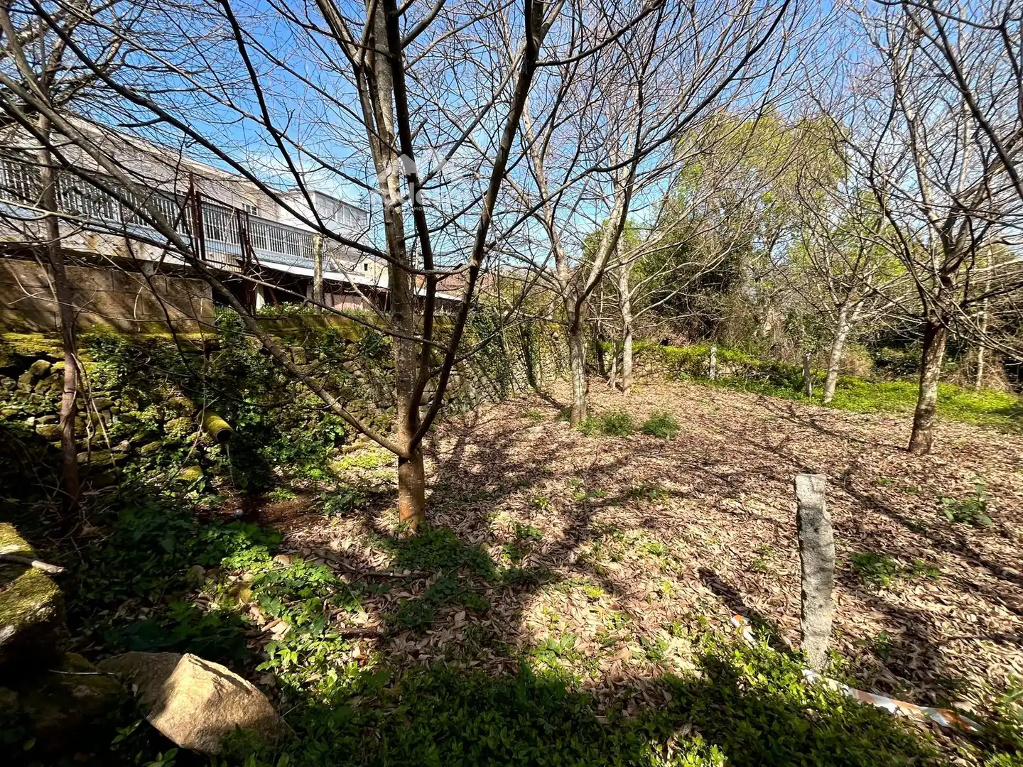 Xalet en venda a Arbo, imagen 6