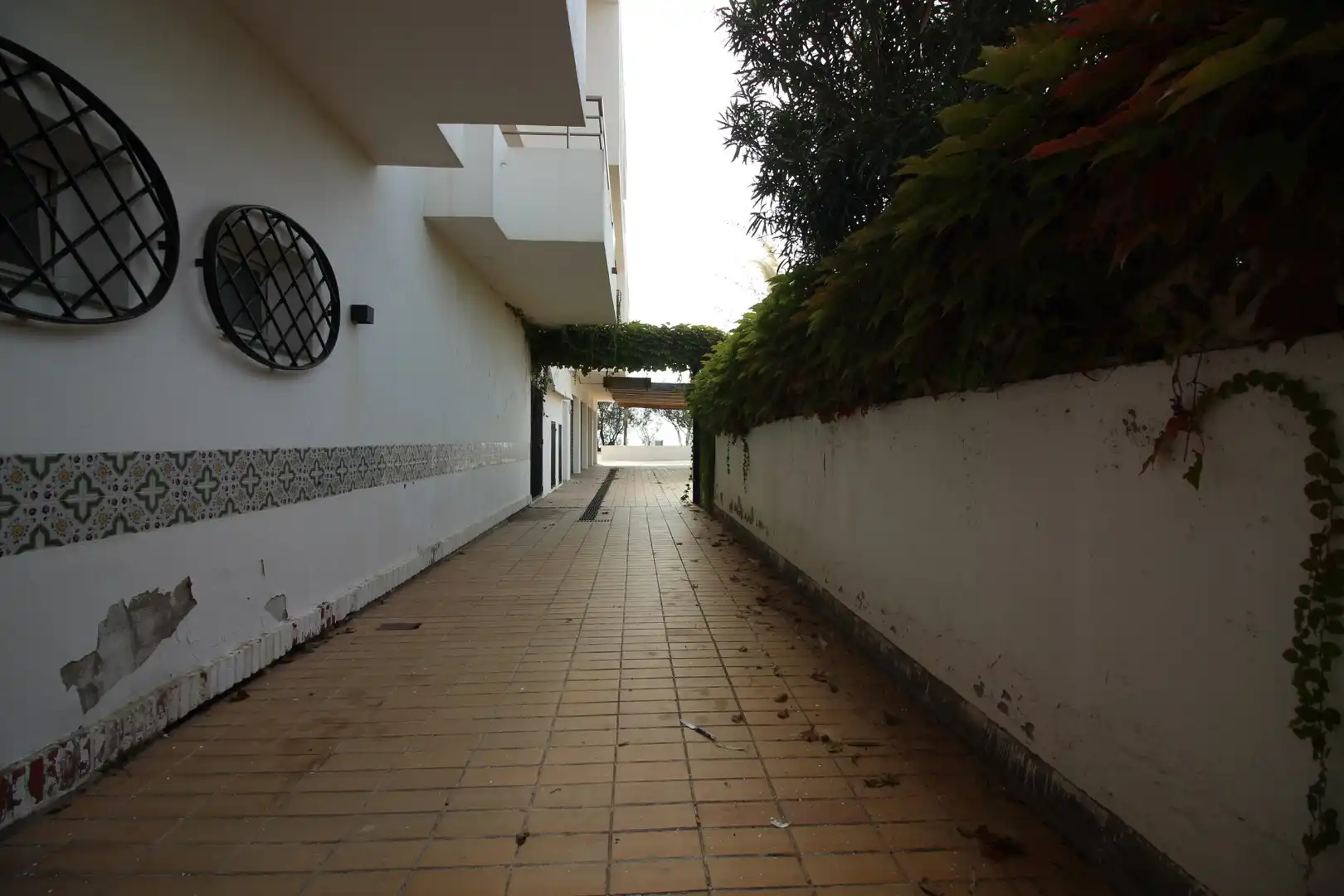 Business premises to rent in Salins - Cavall de Mar, imagen 21