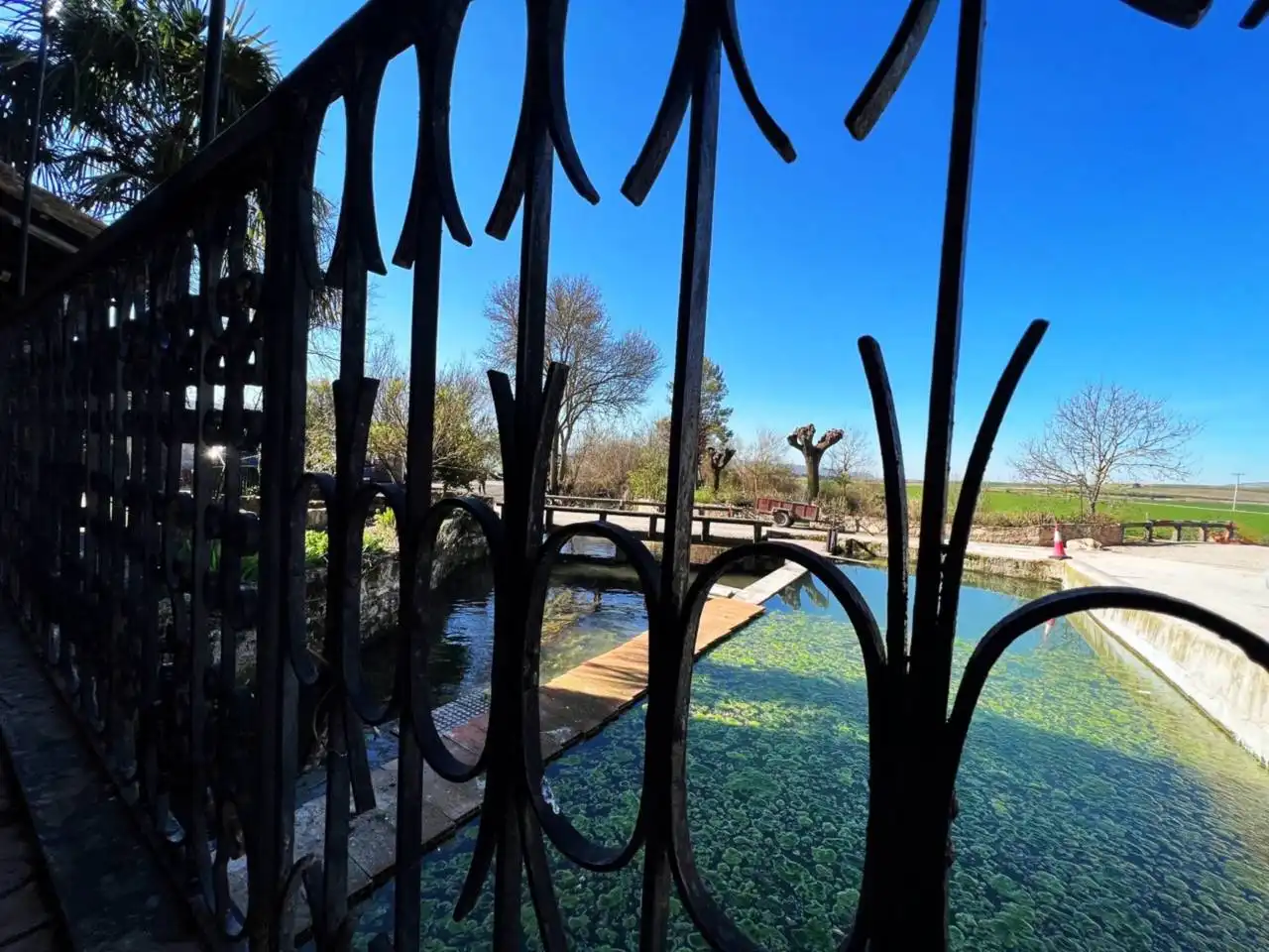 Jardín de Casa o chalet en venta en Frandovínez