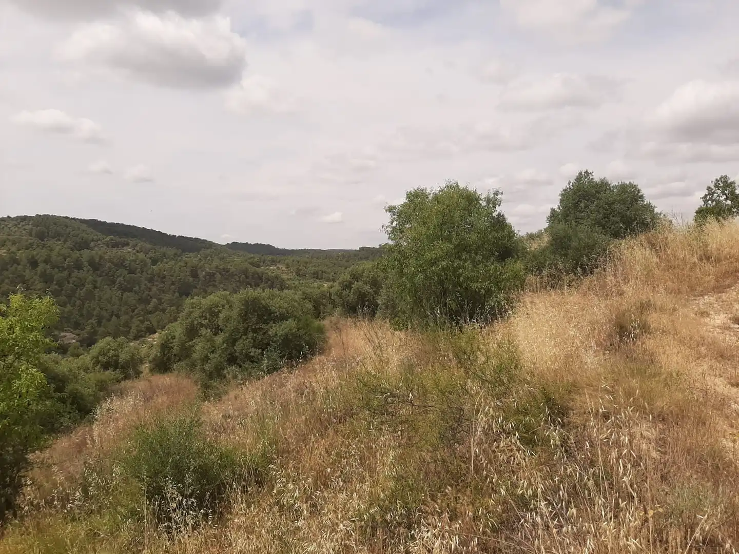 Casa adosada en venda en Cervià de Les Garrigues amb Jardí privat, Terrassa i Balcó