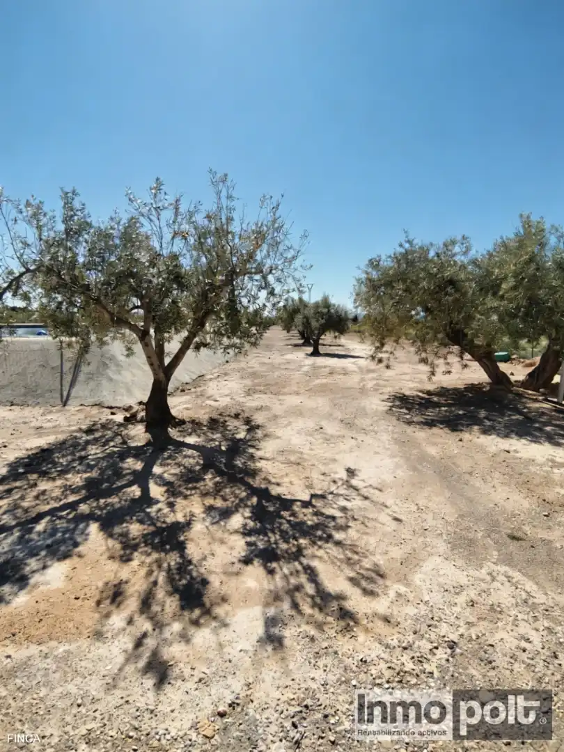 Country house zum Verkauf in Calle Fuente Alamo de Murcia (0x6d0b0ace493fa715 1, Jerónimo y Avileses