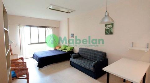 Foto 2 de Estudi de lloguer a Calle Siete Picos, El Caño - Maracaibo, Las Rozas de Madrid