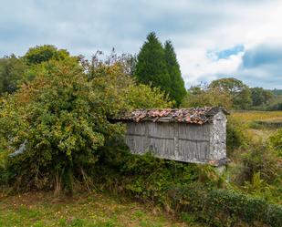 Exterior view of Country house for sale in Palas de Rei