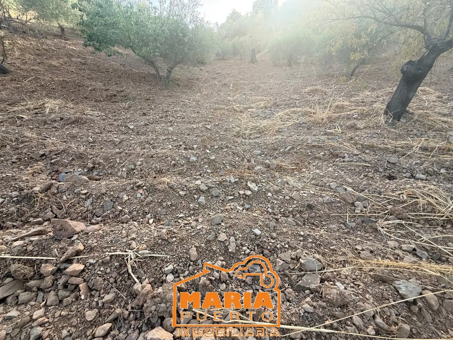 Terreno rustico in vendita a Almogía, imagen 24