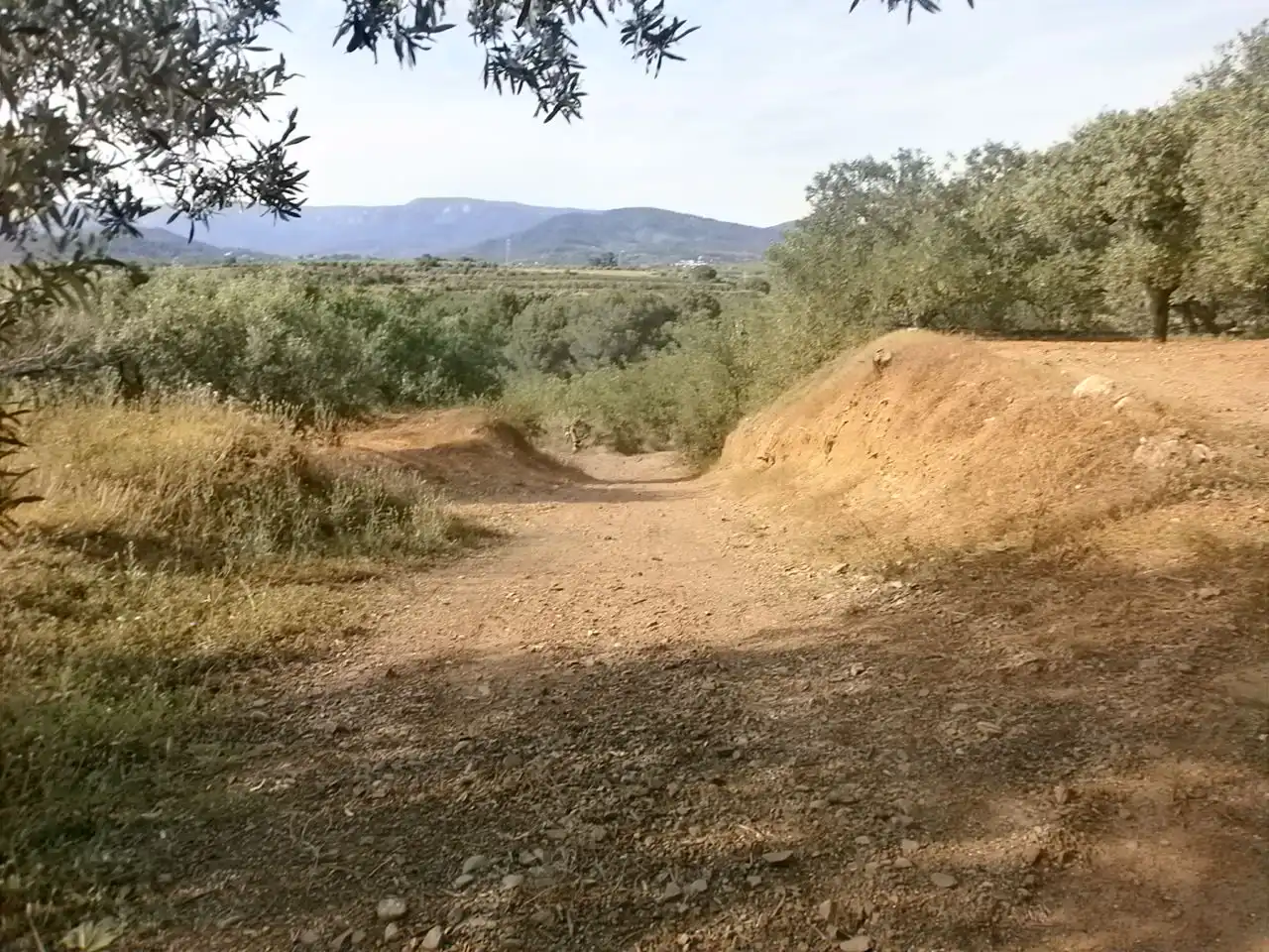 Rural land for sale in Camí del Recreo 25, imagen 22