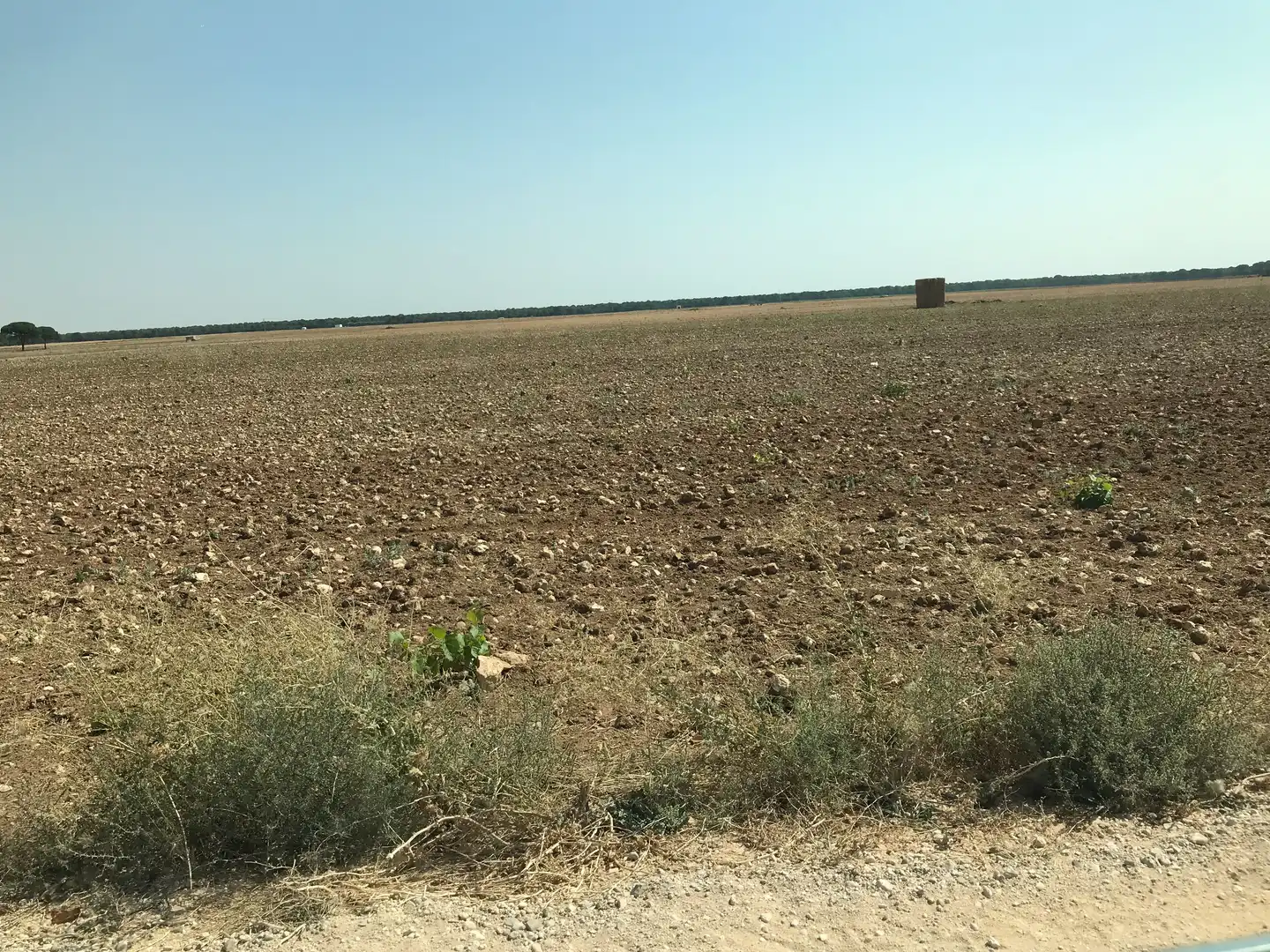 Terreni e lotti in vendita a Las Mesas, imagen 28