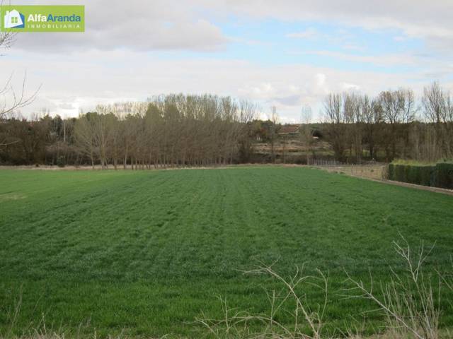 Finca rústica en Venta en Zona Rural