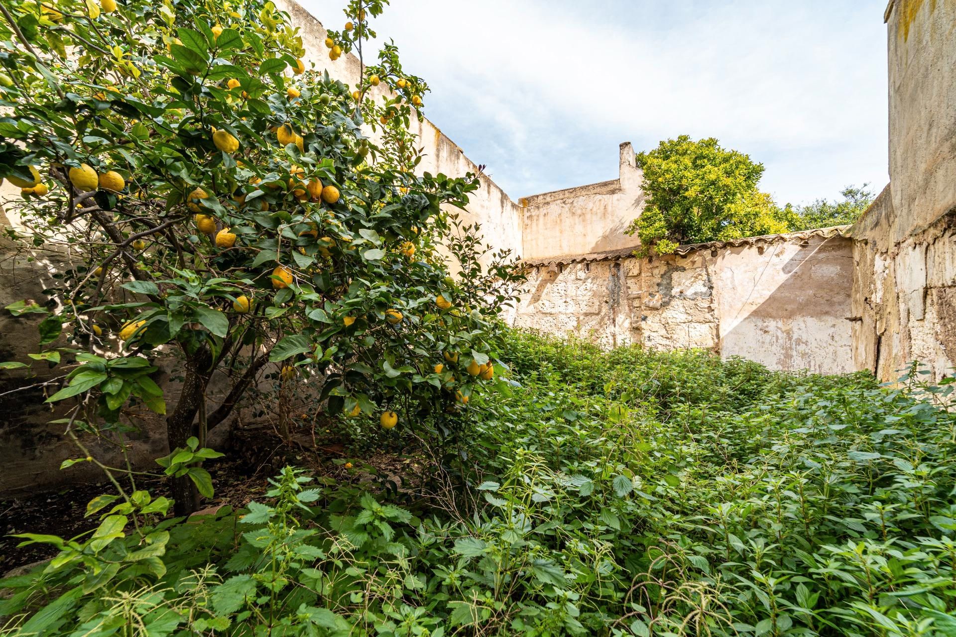 Garden of Land for sale in Felanitx