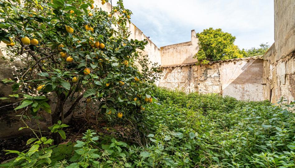 Photo 1 of Land for sale in Felanitx Poble, Illes Balears