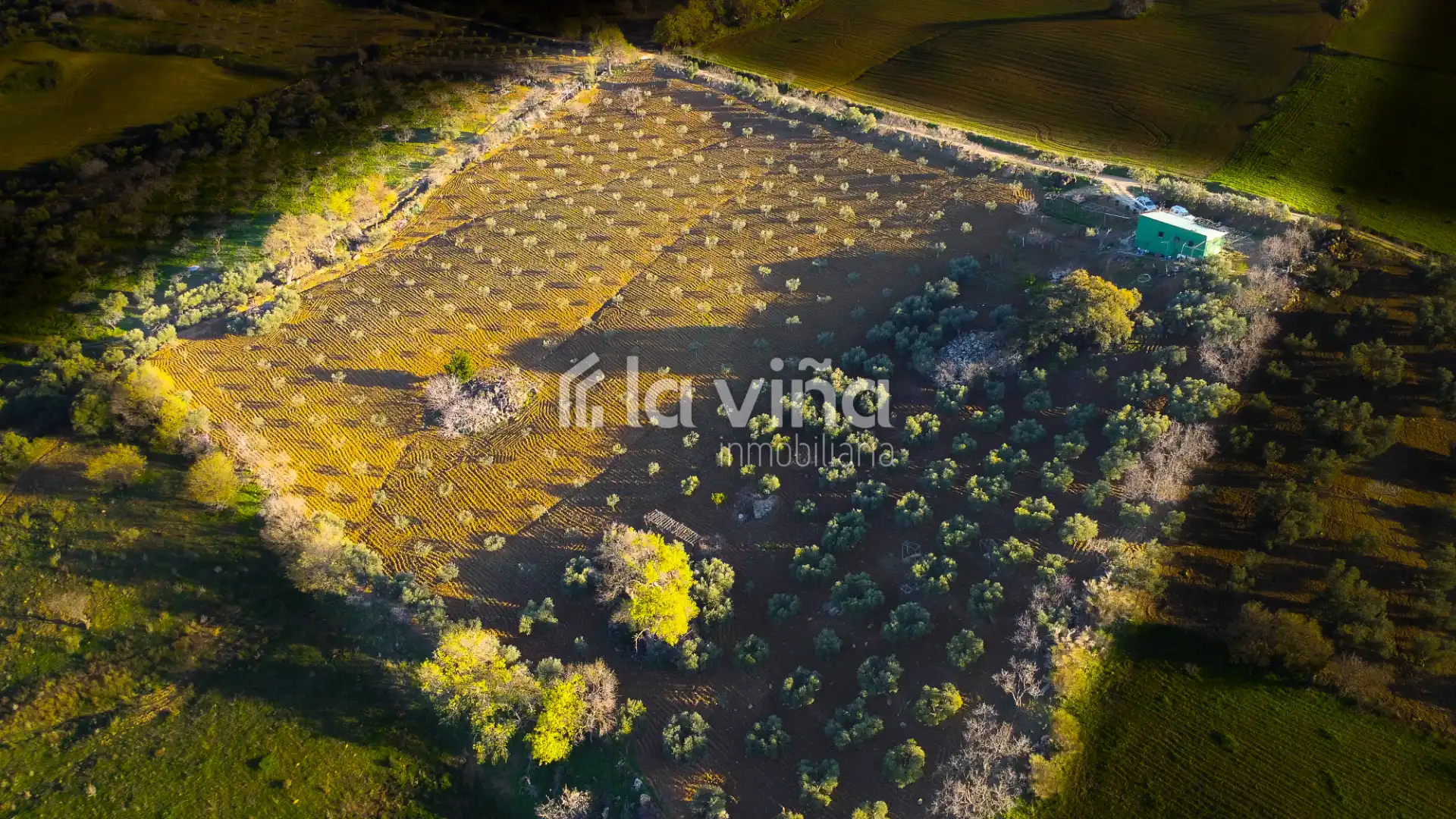 Terreni e lotti in vendita a Villanueva de la Concepción, imagen 2