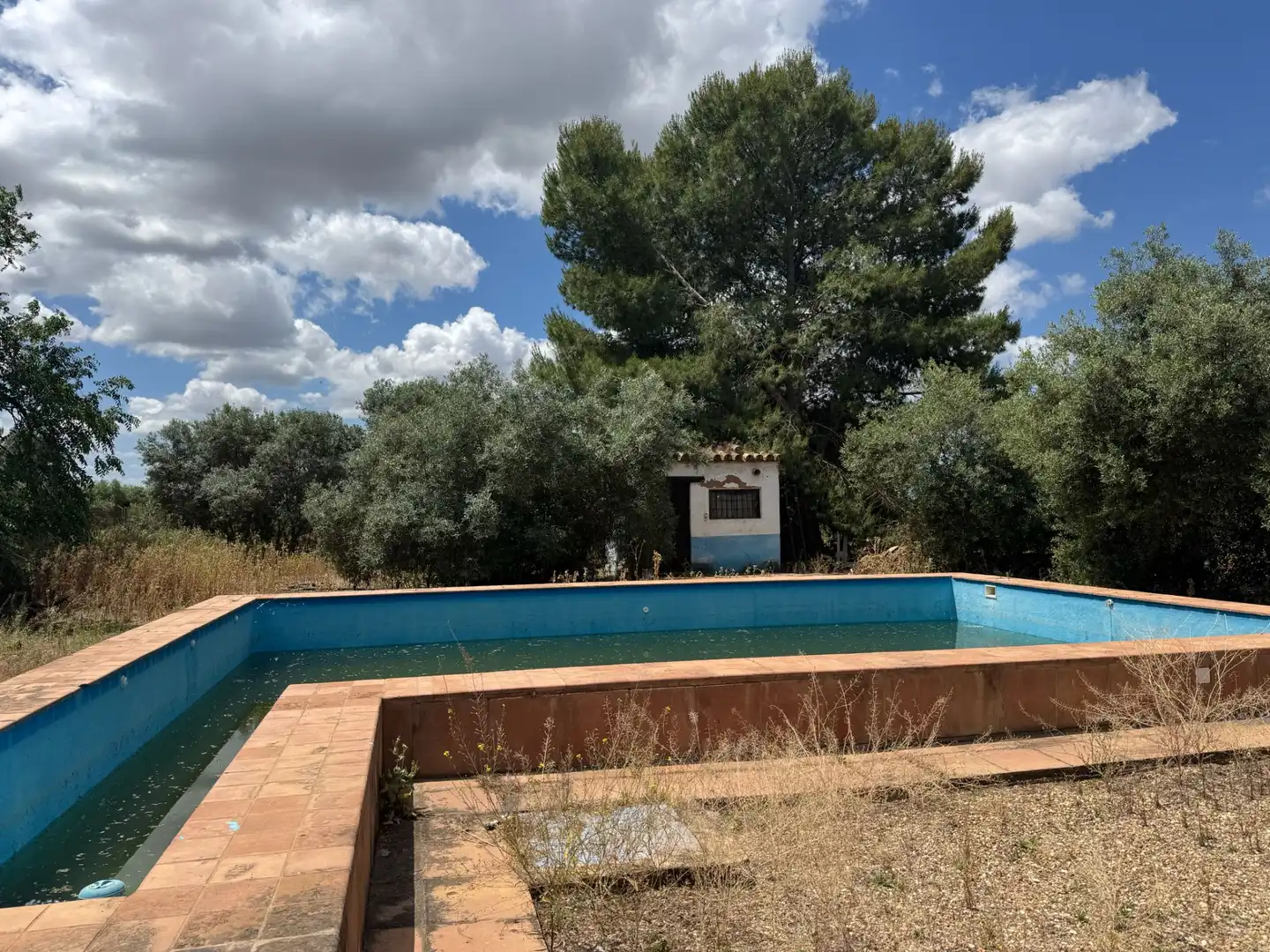 Schwimmbecken von Gebäude zum Verkauf in Marchena mit Gemeinschaftspool