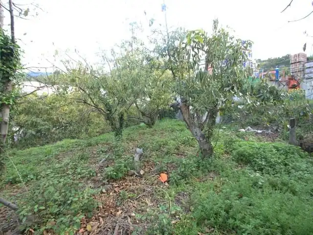 Terreni e lotti in vendita a Canillas de Albaida, imagen 2