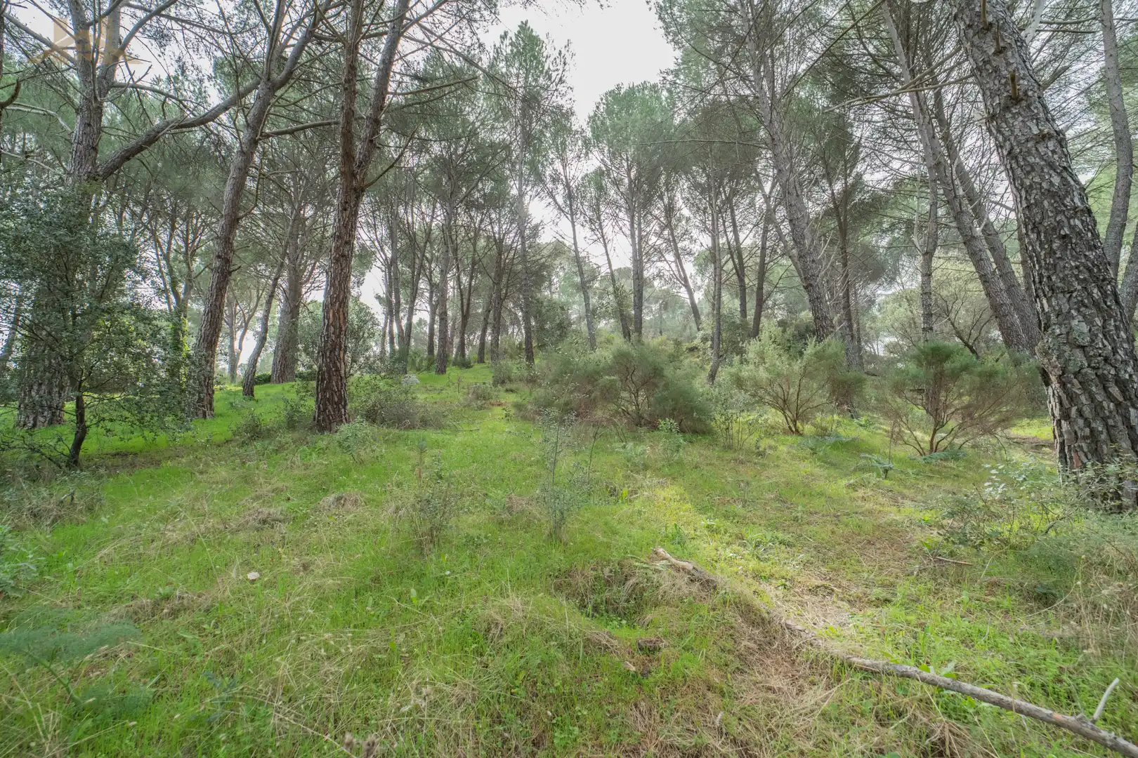 Residencial en venta en San Martín de Valdeiglesias